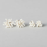 【tane×kuros'別注】珊瑚ピアス L
