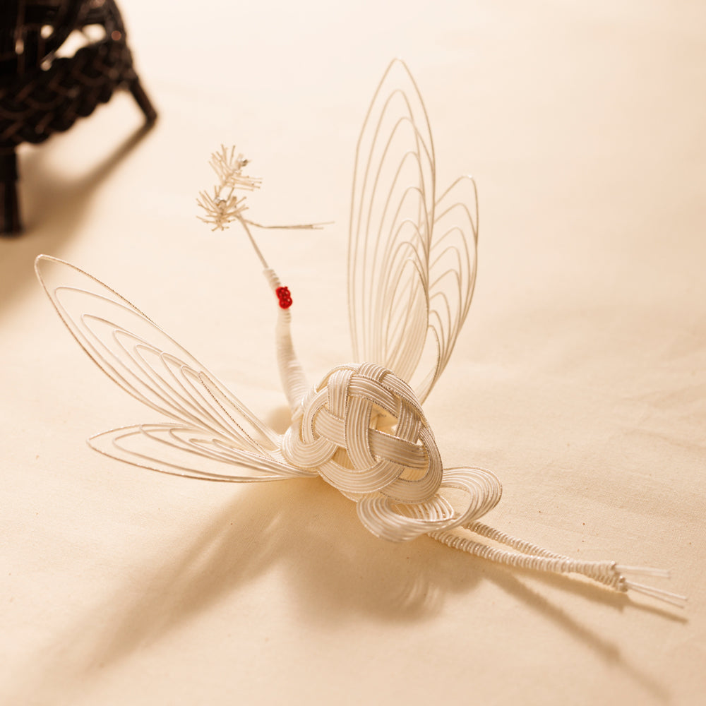 V3A6355_1000x.jpg?v=1748678501