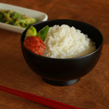 越前硬漆 一乗椀  黒