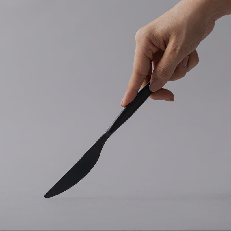 燕三条 ブラック ステンレス ディナーナイフ